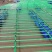 生蚝养殖生蚝蚝排水产养殖牛蛙养殖