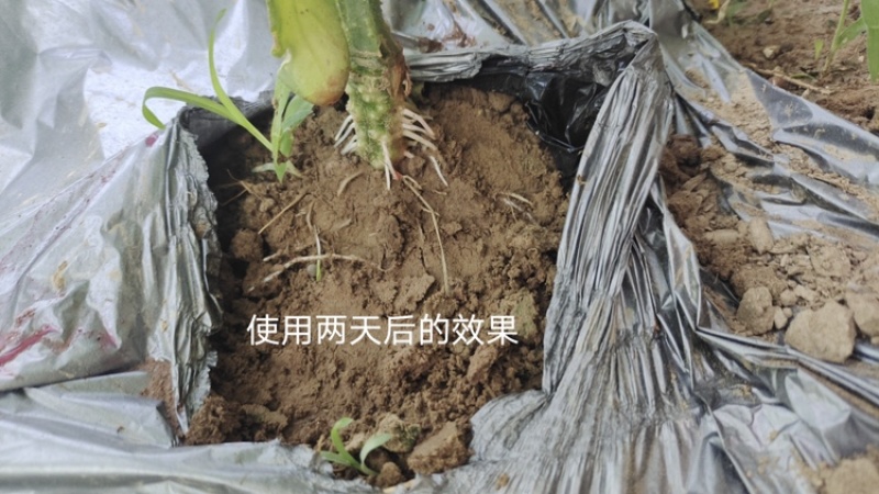 喜花园水溶肥冲施肥腐植酸悬浮剂生根肥不含激素生根效果好