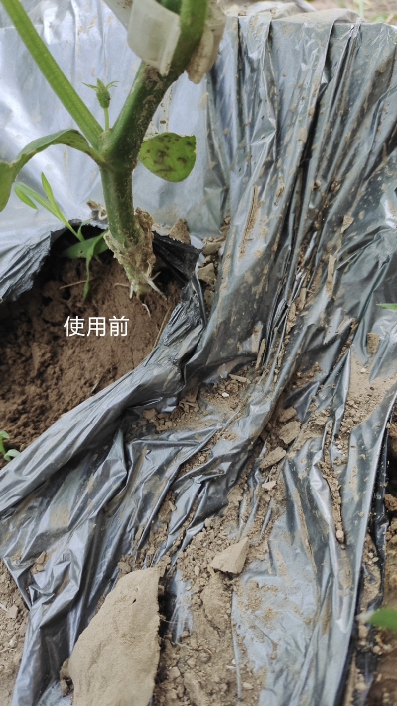 喜花园水溶肥冲施肥腐植酸悬浮剂生根肥不含激素生根效果好