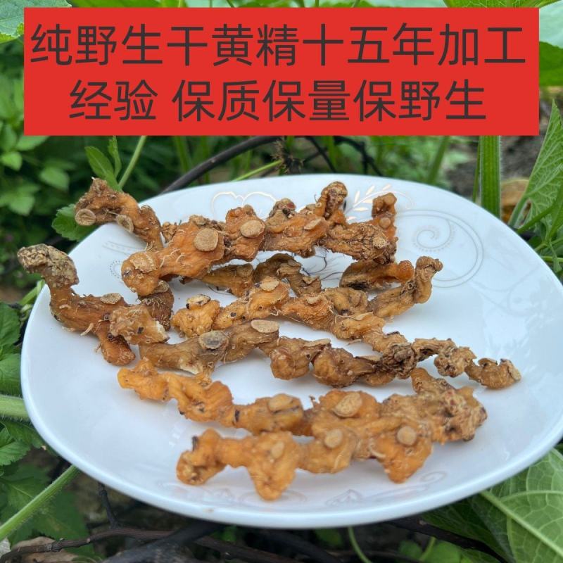 贵州纯野生黄精老虎姜野生生黄精新鲜10年黄金黄精干批发