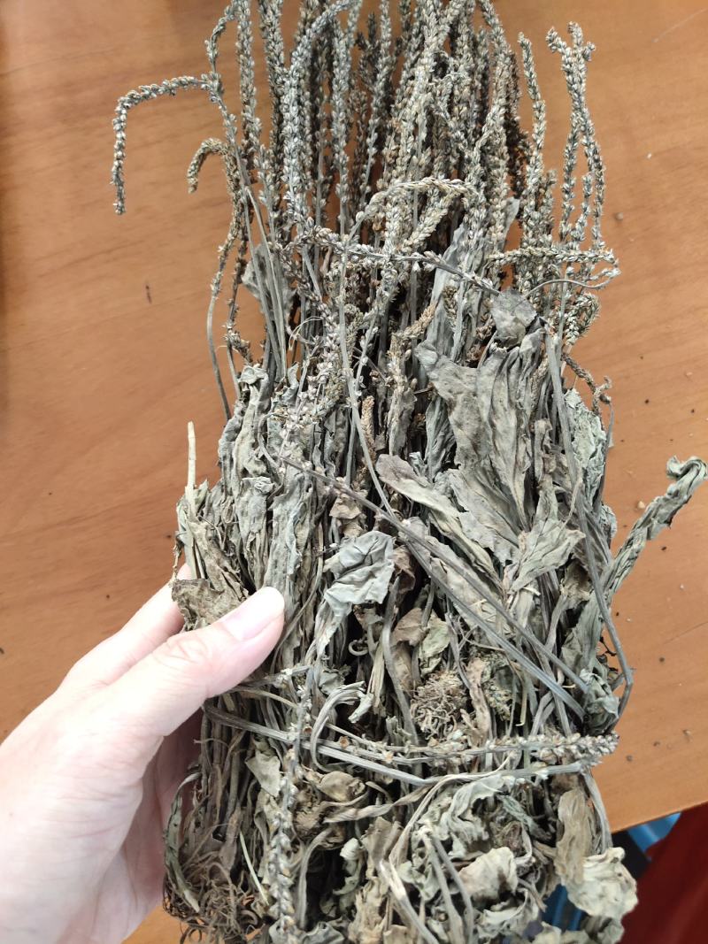 车前草中药材车前草干货整颗带穗车前草药