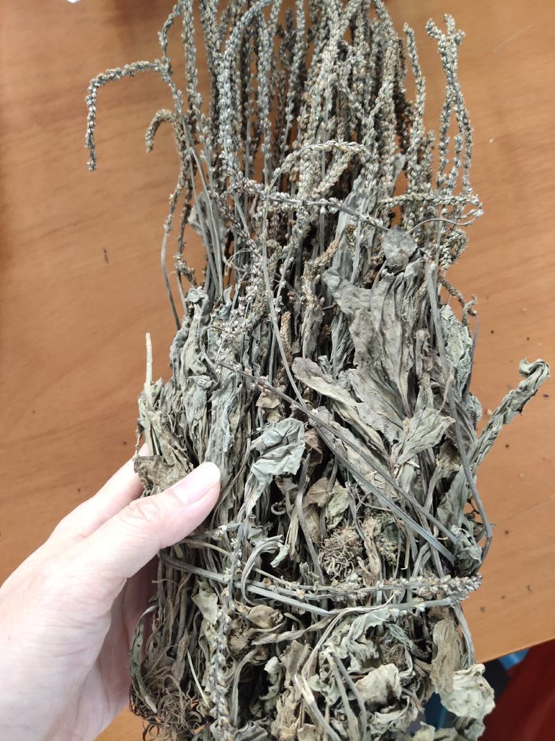车前草中药材车前草干货整颗带穗车前草药