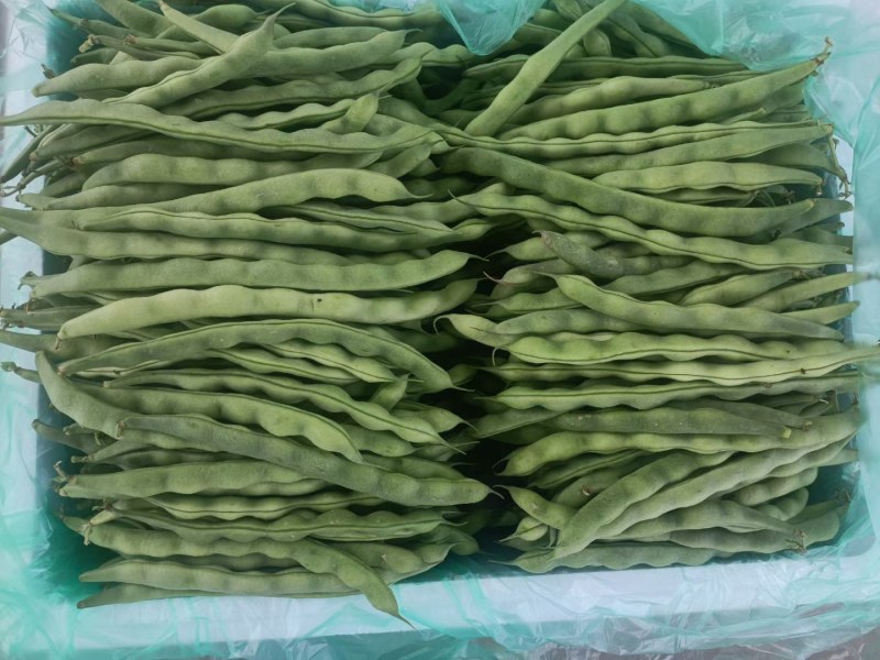 大青豆，无筋豆大量上市