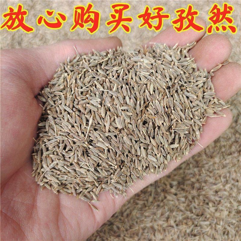 新疆孜然粒精品家用正宗孜然烧烤材料撒料香料腌料调味料裹粉
