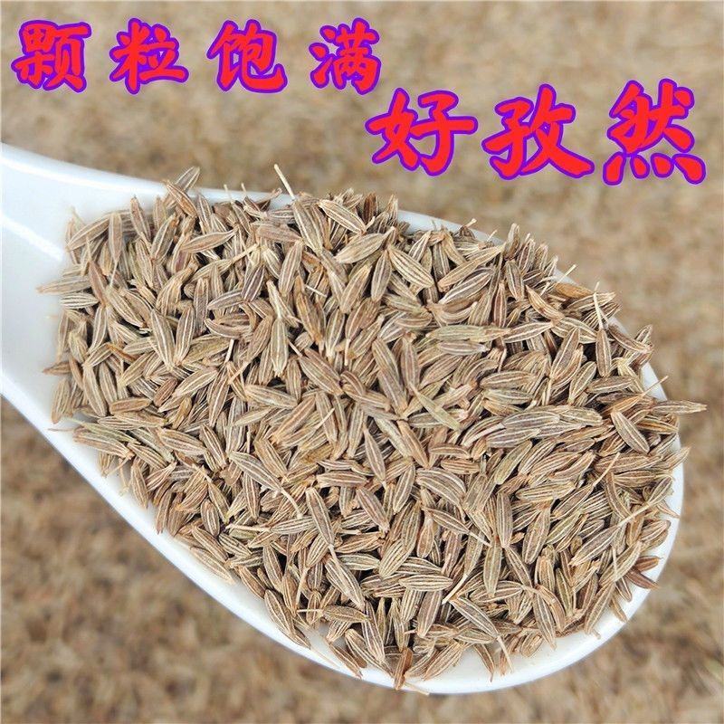 新疆孜然粒精品家用正宗孜然烧烤材料撒料香料腌料调味料裹粉