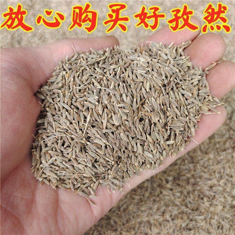 新疆孜然粒精品家用正宗孜然烧烤材料撒料香料腌料调味料裹粉