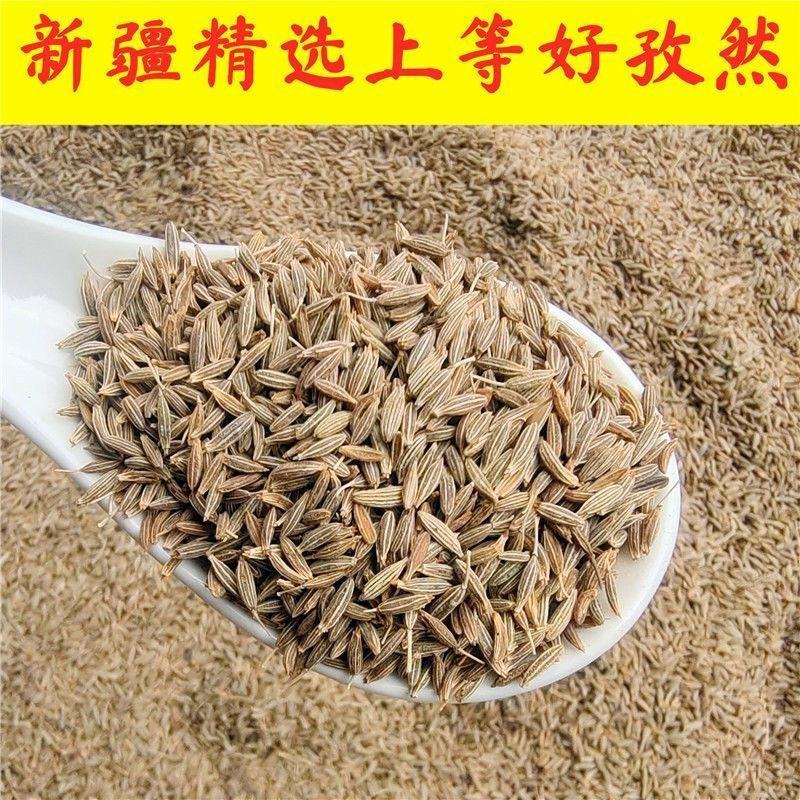 新疆孜然粒精品家用正宗孜然烧烤材料撒料香料腌料调味料裹粉