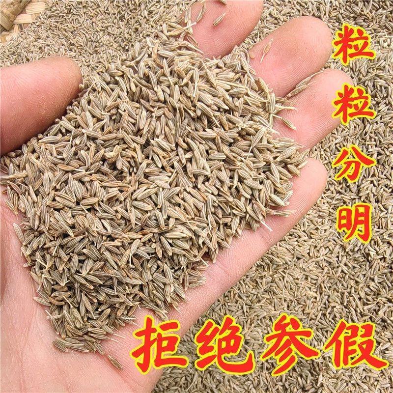 新疆孜然粒精品家用正宗孜然烧烤材料撒料香料腌料调味料裹粉
