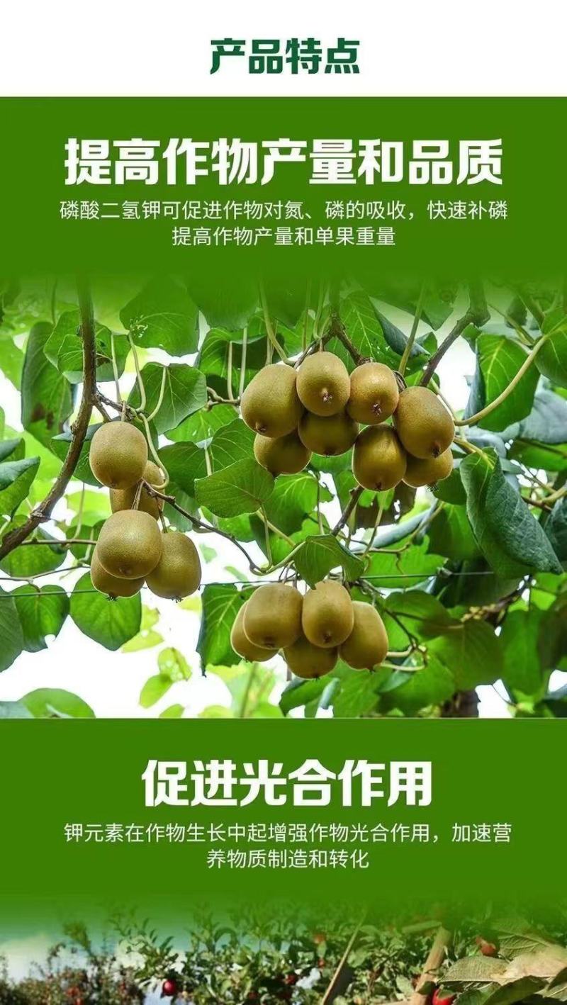 通用飞防磷酸二氢钾速溶保花保果补磷补钾根茎专用增产农用复