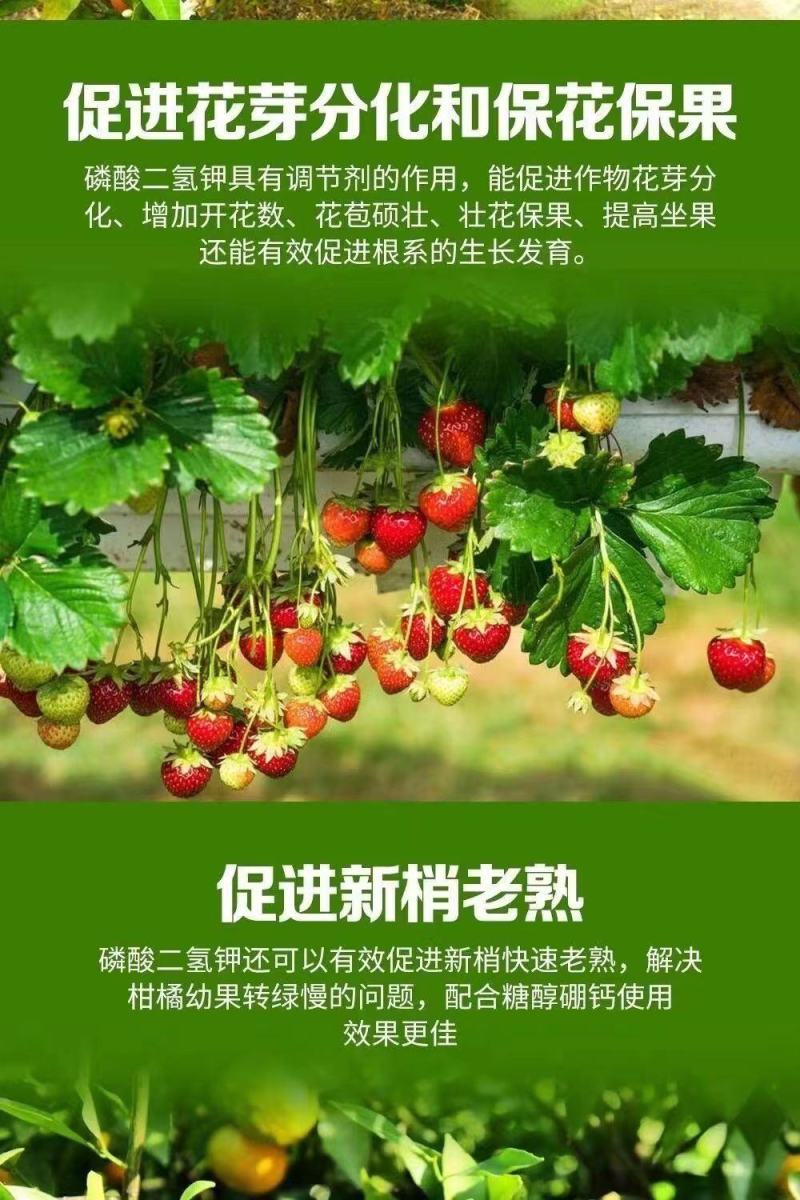 通用飞防磷酸二氢钾速溶保花保果补磷补钾根茎专用增产农用复