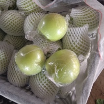 【精品】皇冠梨产地直发质量保证可供商超可视频看货