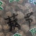 藕节干货藕节中药材欢迎选购！