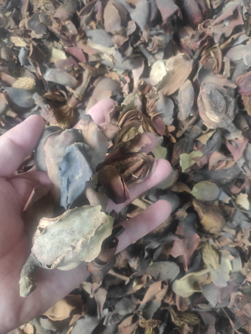 厚朴花干货中药材量大从优欢迎选购！