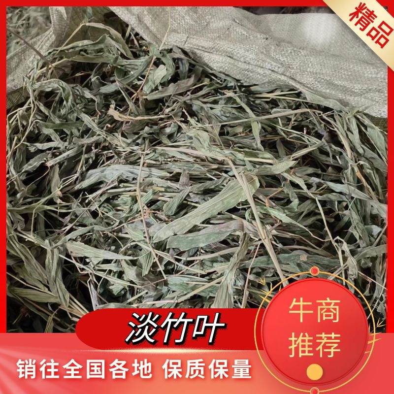 【高品质】野生淡竹叶大量上市货源充足代发全国欢迎来电