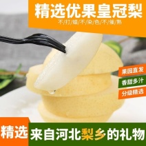 河北原袋皇冠梨，大量供应中，产地直发，一手货源质量好
