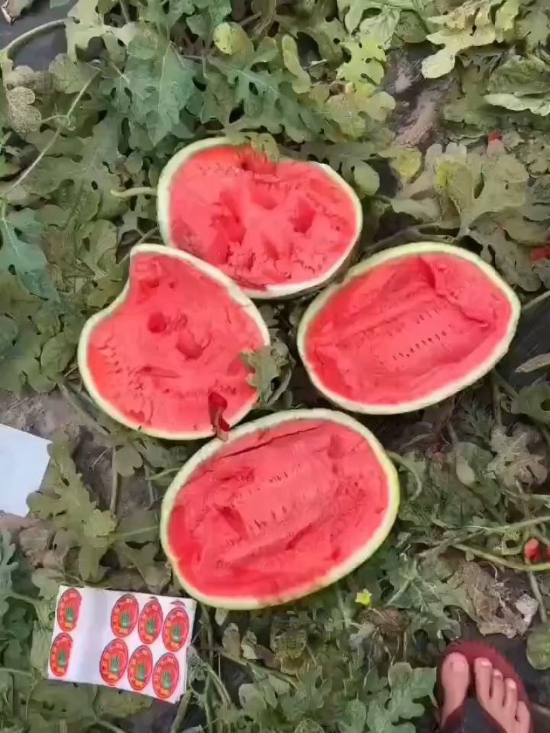 甜王西瓜，陕西甜王西瓜，口感好，保质保量脆甜多汁包熟包甜