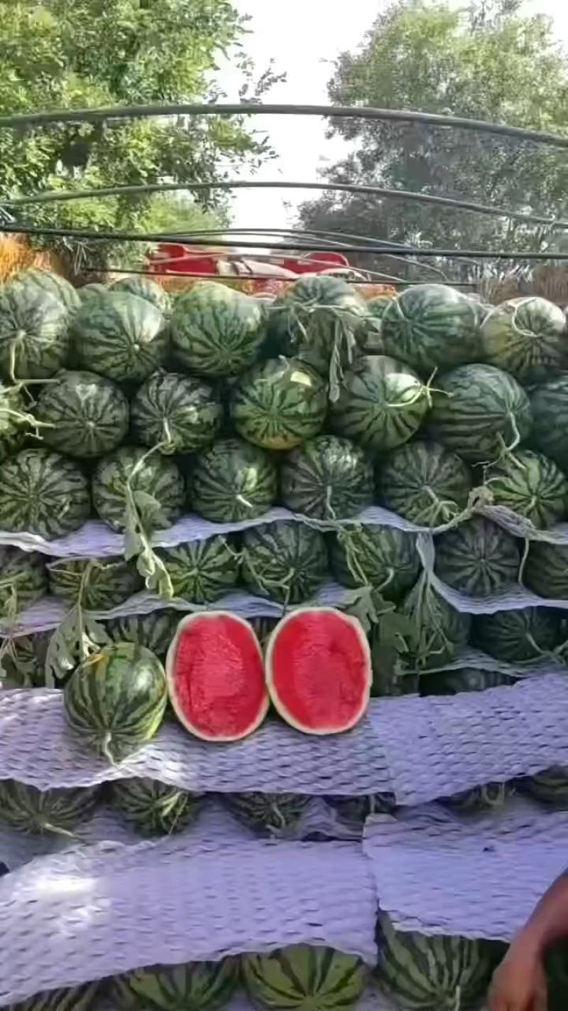 甜王西瓜，陕西甜王西瓜，口感好，保质保量脆甜多汁包熟包甜