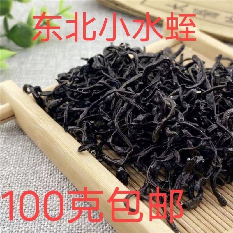 中药材野生水蛭蚂蟥小水蛭干吊干东北医蛭正品干货清