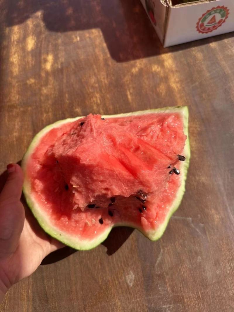 无籽西瓜平凉西瓜麒麟美都一手货源量大优惠欢迎咨