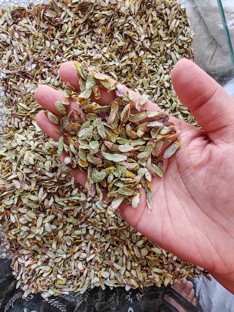 .铁皮石斛片干货500克铁皮石斛片泡茶煮汤干片批发