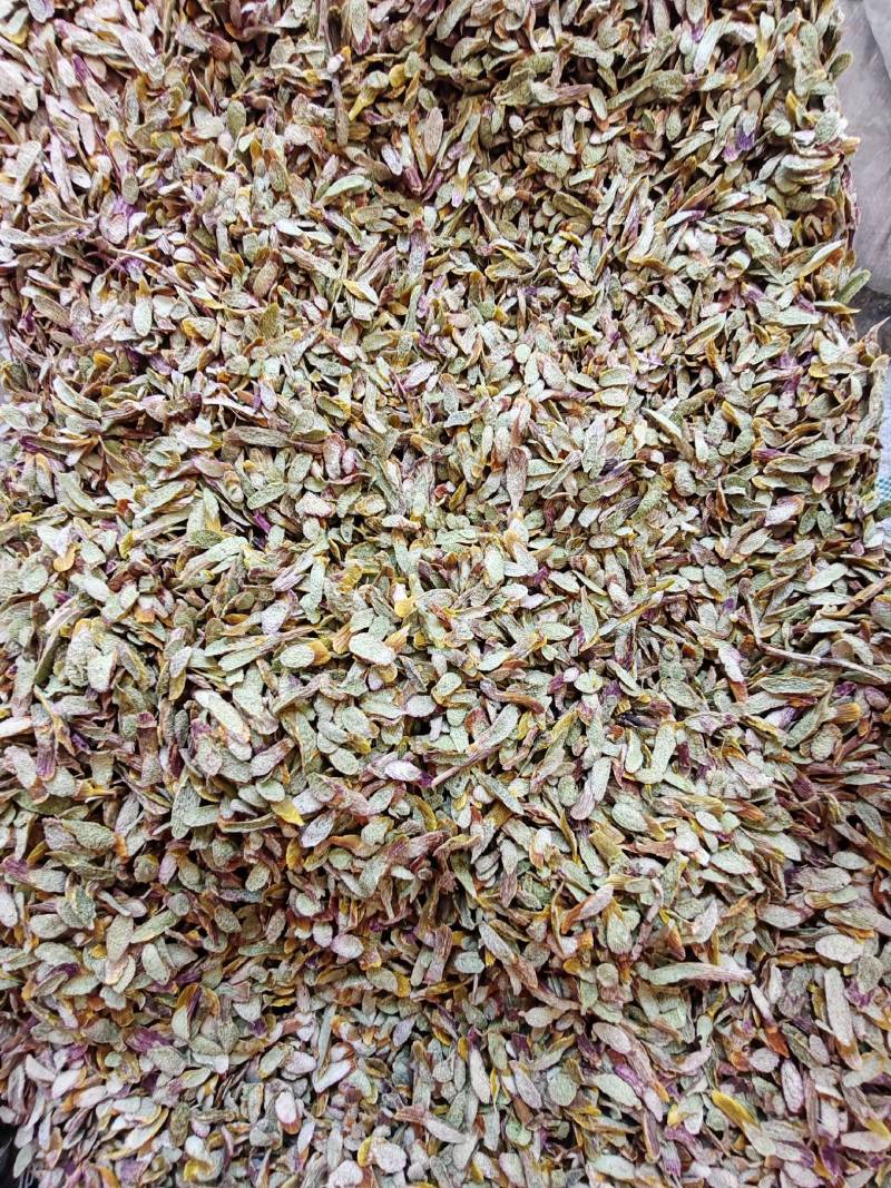 .铁皮石斛片干货500克铁皮石斛片泡茶煮汤干片批发
