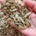 .铁皮石斛片干货500克铁皮石斛片泡茶煮汤干片批发