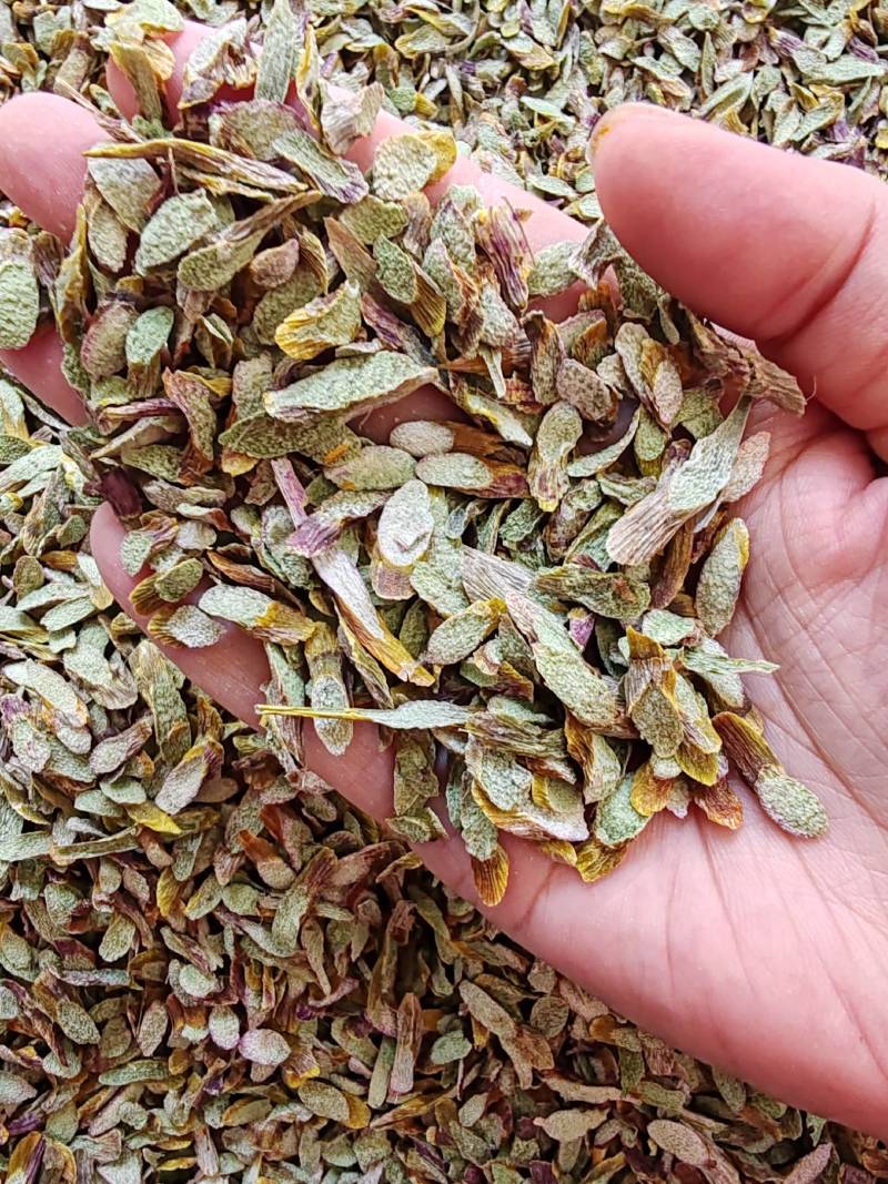 .铁皮石斛片干货500克铁皮石斛片泡茶煮汤干片批发