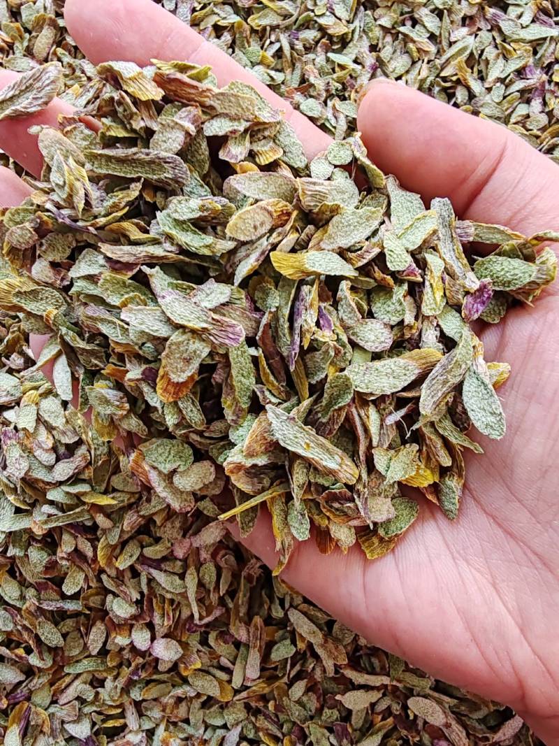 .铁皮石斛片干货500克铁皮石斛片泡茶煮汤干片批发
