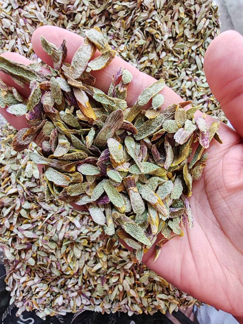 .铁皮石斛片干货500克铁皮石斛片泡茶煮汤干片批发