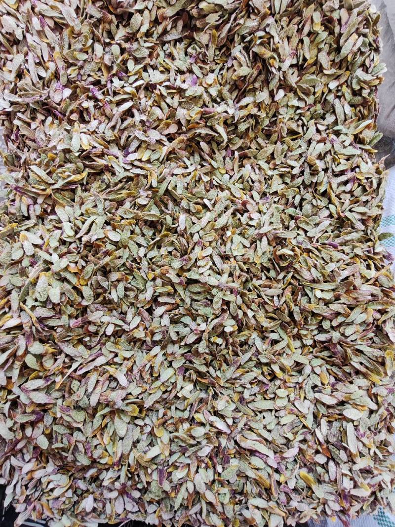 .铁皮石斛片干货500克铁皮石斛片泡茶煮汤干片批发