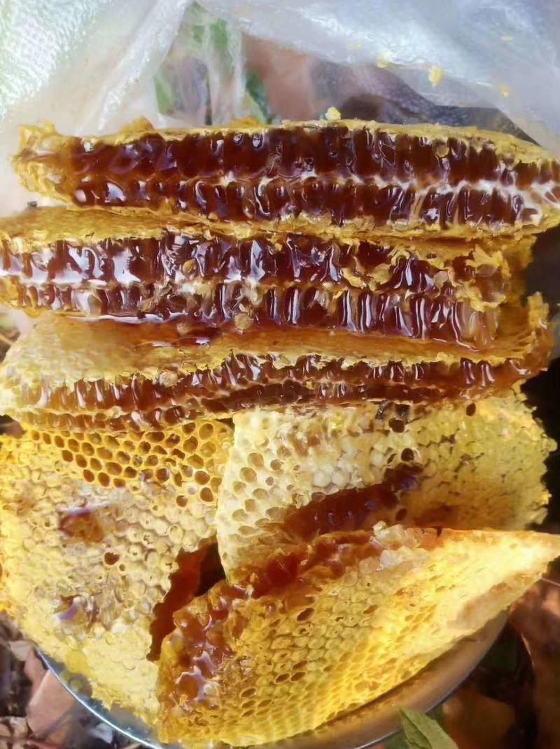 【精品推荐】野生土蜂蜜，量大从优，只做精品货，欢迎联系！