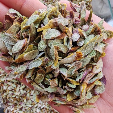 .铁皮石斛片干货500克铁皮石斛片泡茶煮汤干片批发