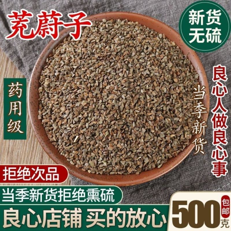 云南野生中药材茺蔚子益母草籽益母草种子包邮