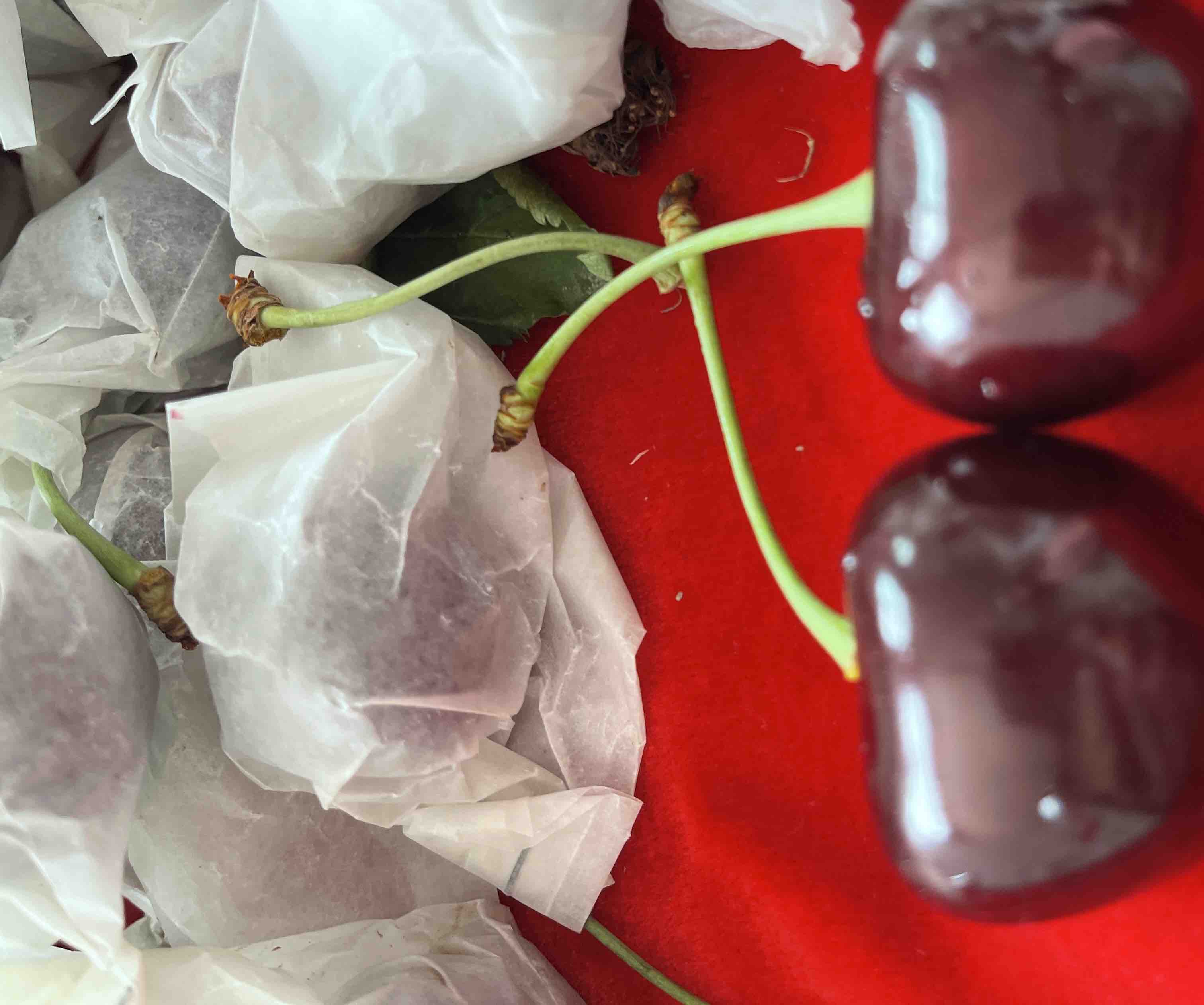 车厘子表面的果霜特写