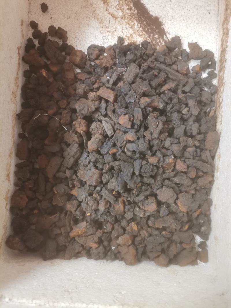 桦树茸