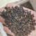 桦树茸
