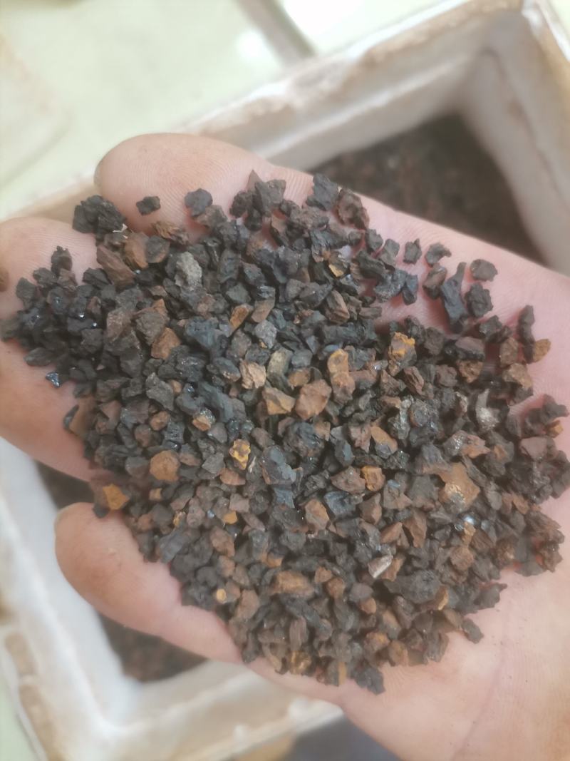 桦树茸