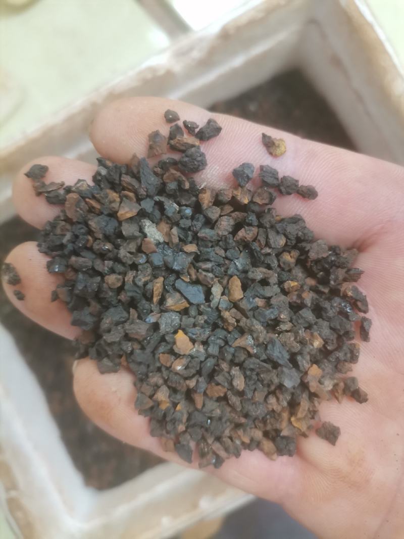 桦树茸