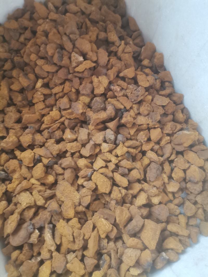 桦树茸