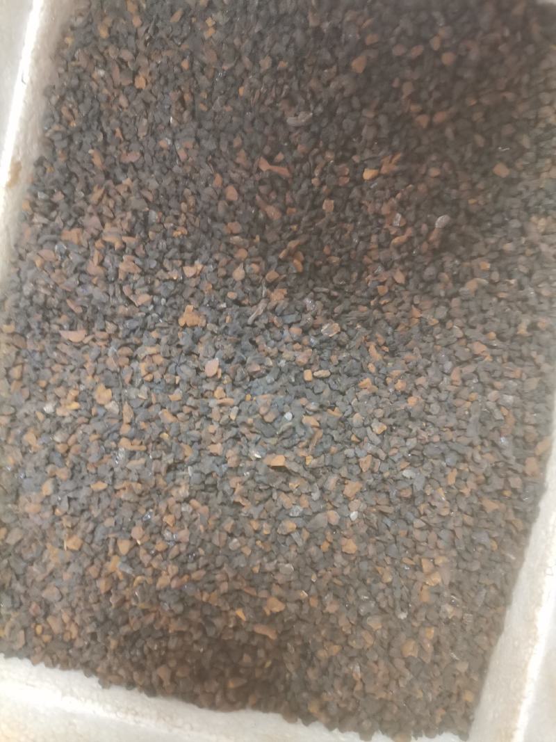 桦树茸