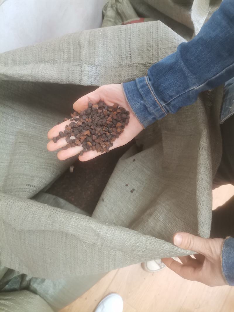 桦树茸