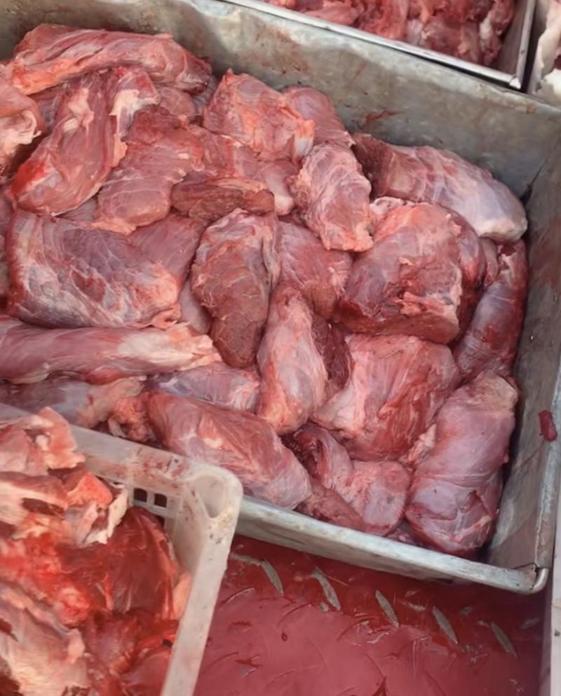 【热卖】精修牛头肉生肉大量批发一件代发价格优惠欢迎致电