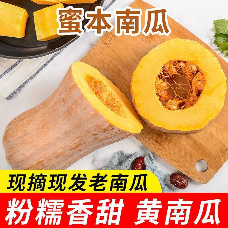 新鲜老南瓜甜糯板栗南瓜孕妇宝宝辅食带箱10斤