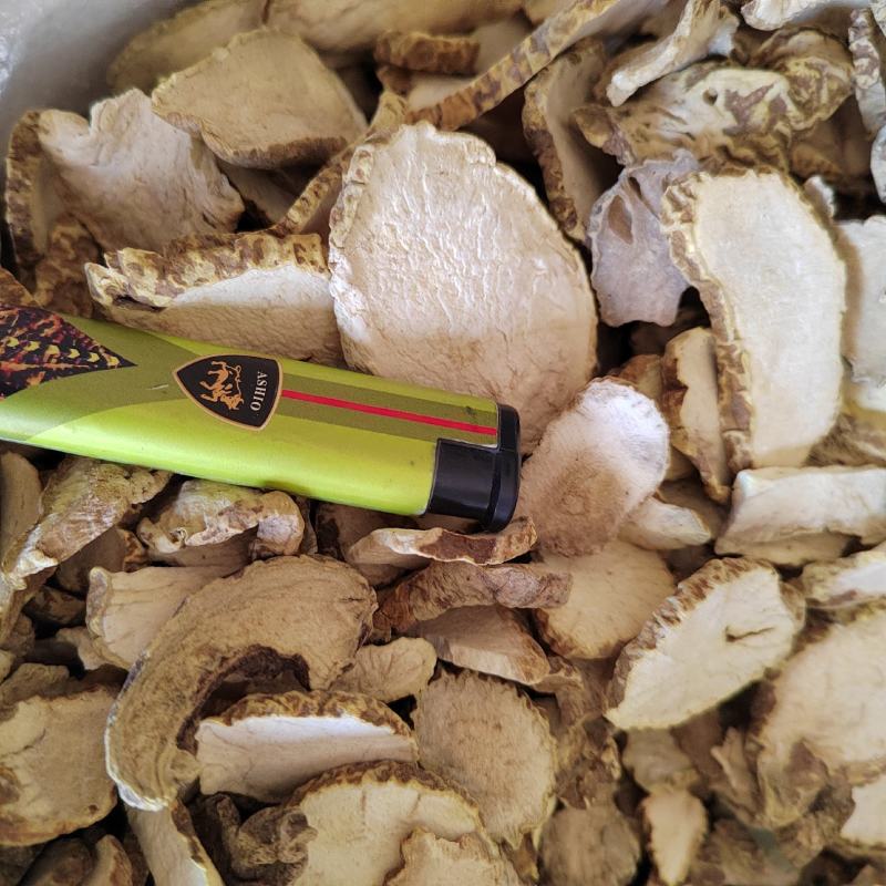 金果榄，地苦胆，九牛胆，金线吊葫芦