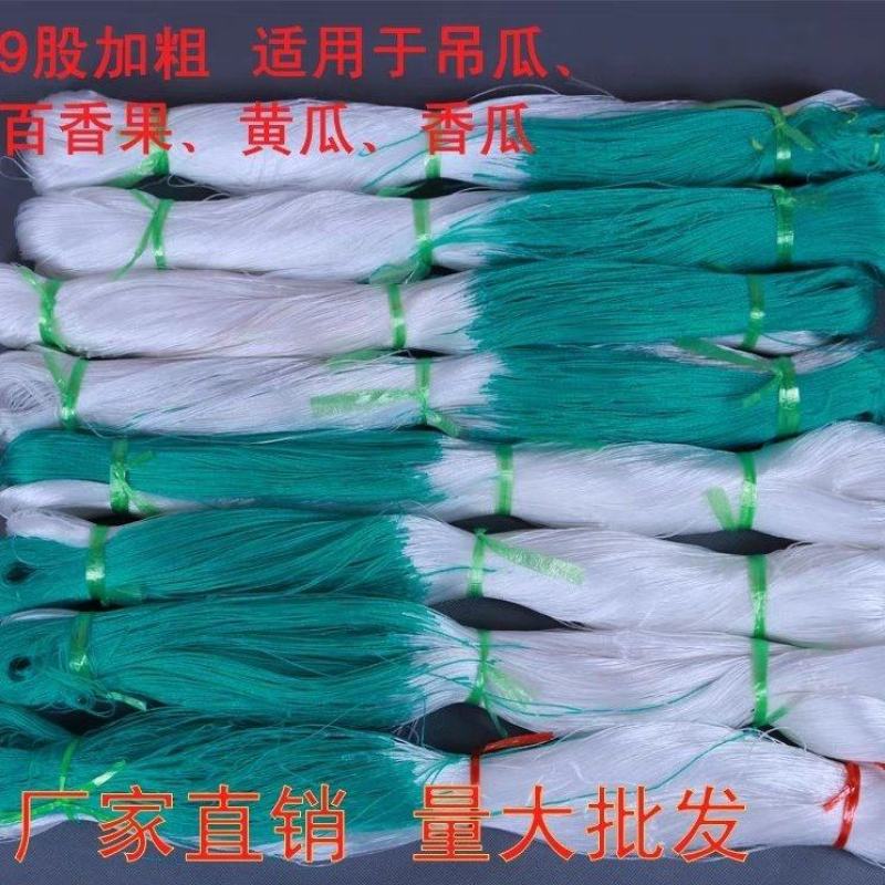 粗九股撑果网水果甜瓜南瓜小冬瓜小西瓜瓠子葡萄爬藤中药爬藤