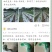 粗九股撑果网水果甜瓜南瓜小冬瓜小西瓜瓠子葡萄爬藤中药爬藤