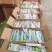 跑江湖摆地摊单只牙刷地推礼品赠送成人牙刷独立包装公司劳保