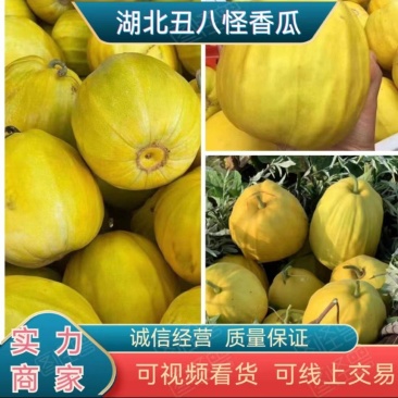 【推荐】湖北精品丑八怪香瓜香甜爆汁现摘现发产地批发