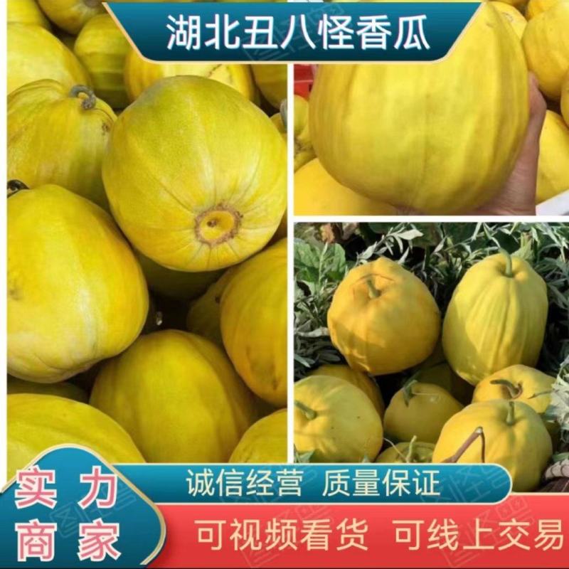 【推荐】湖北精品丑八怪香瓜香甜爆汁现摘现发产地批发
