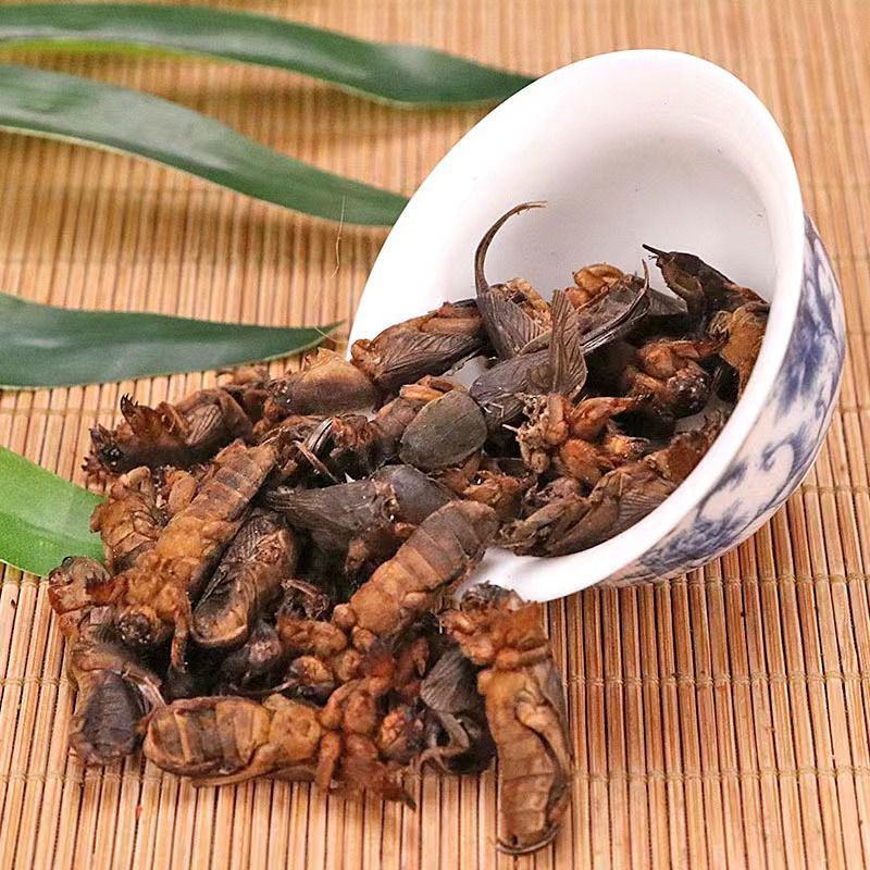 中药材野生蝼蛄干土狗地狗蝼蛄粉蝼蛄蝗虫干五谷虫